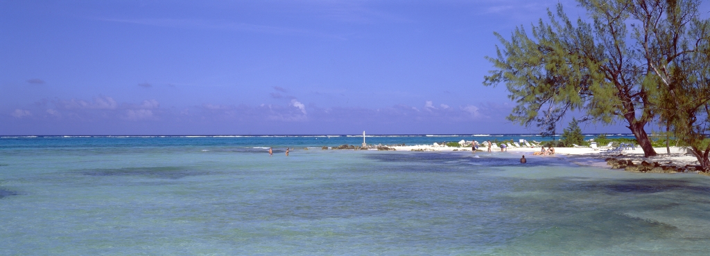 FL30709117412312007P.jpg