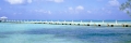 FL30708117412312007P