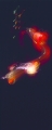 FL30714117412312007P