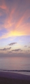 FL30715117412312007P