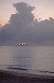 CAY0609612242006