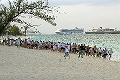 CAY0615612262006