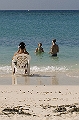 CAY0637412312006