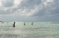 CAY0644801022007