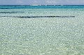 CAY0645201022007